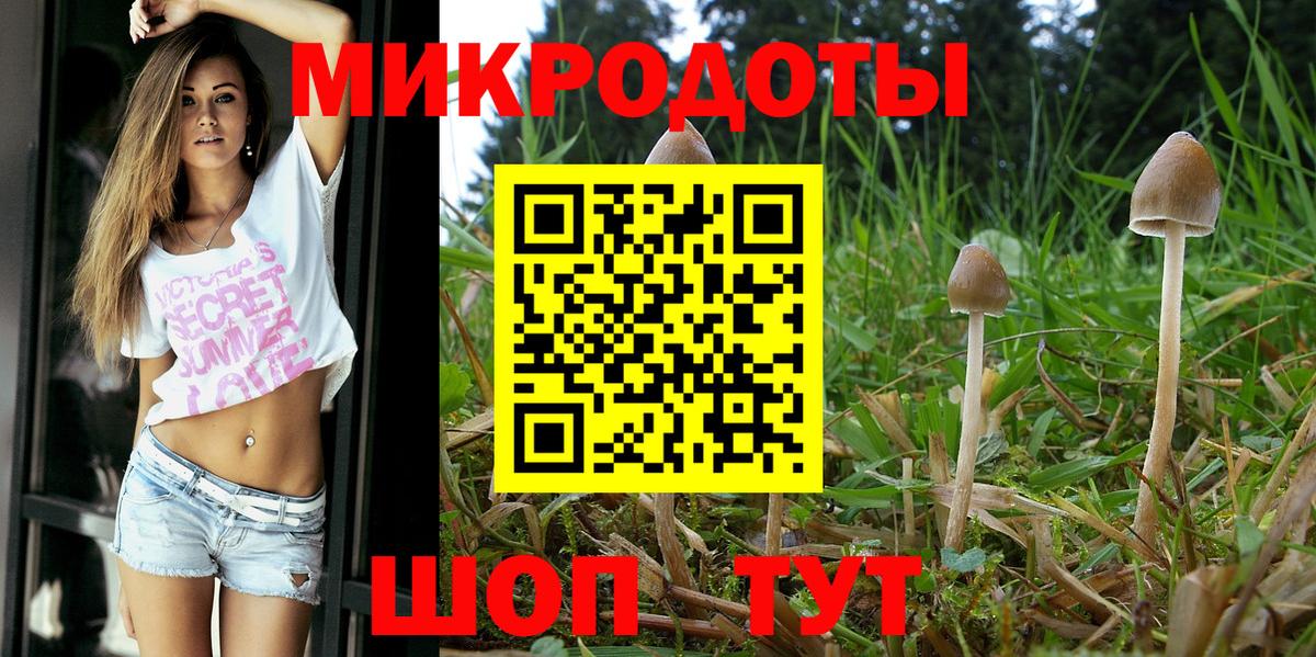Псилоцибиновые грибы Magic Shrooms Биробиджан