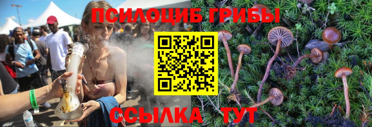 Псилоцибиновые грибы Magic Shrooms  Вход с VPN  Биробиджан 